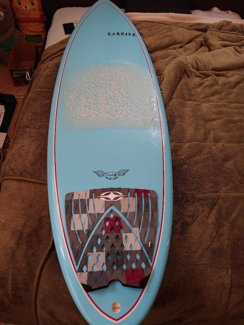 カーディフ（手渡し限定）