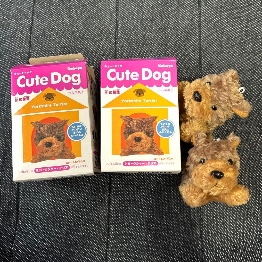 カバヤ 子犬ぬいぐるみ Cute Dog ボールチェーンマスコット 8点セット