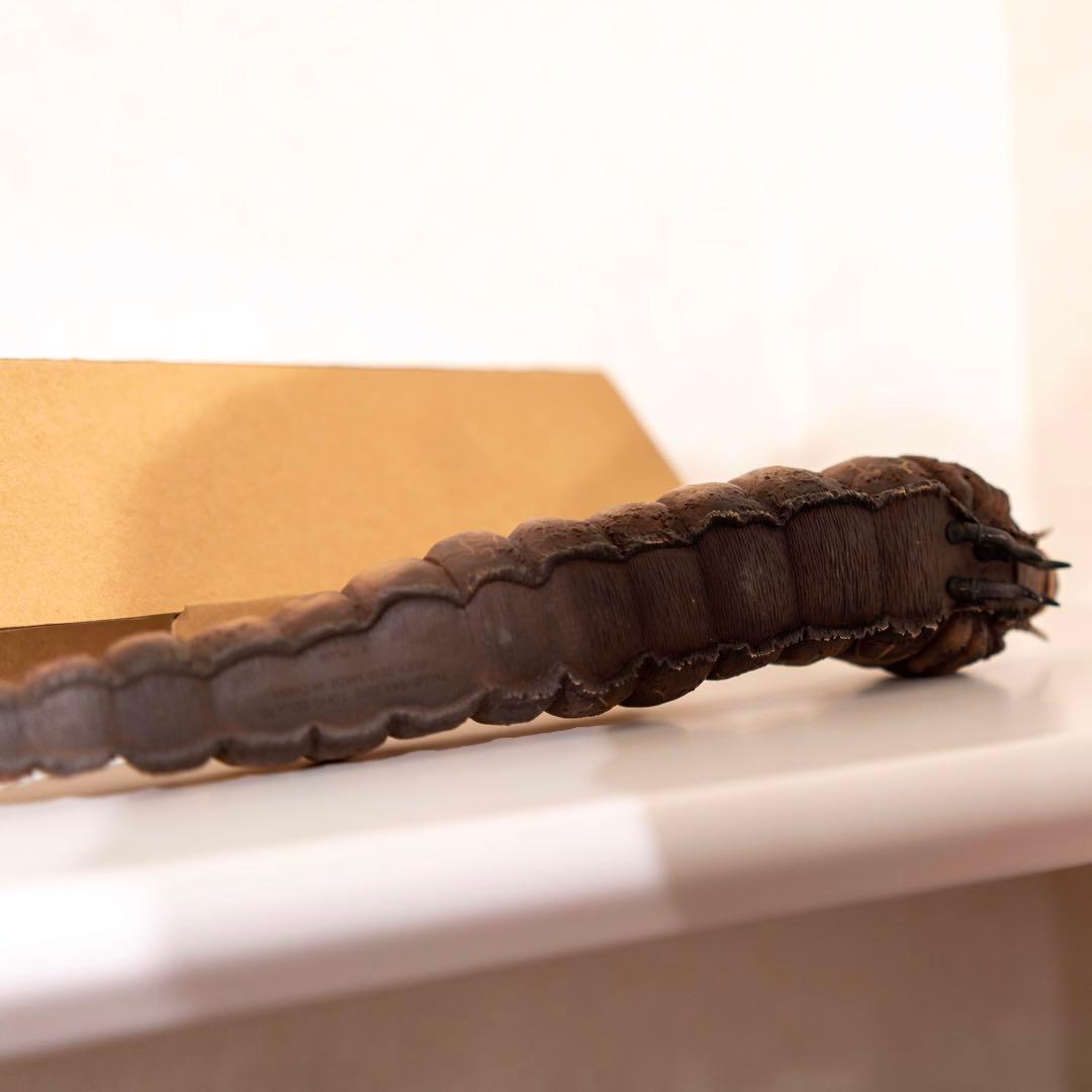 エクスプラス モスラ 1961 軟質版 限定100体 少年リック限定 ゴジラ