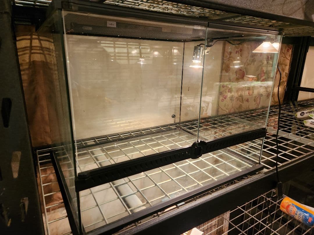 送料込レインフォレストタンクL中古1台マイクロサン中古1台