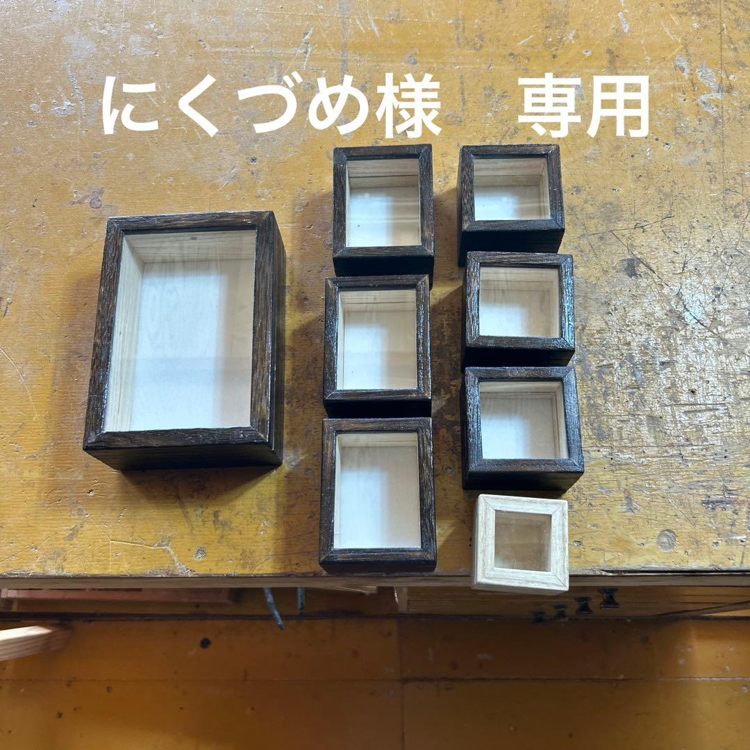 小型標本箱　8箱