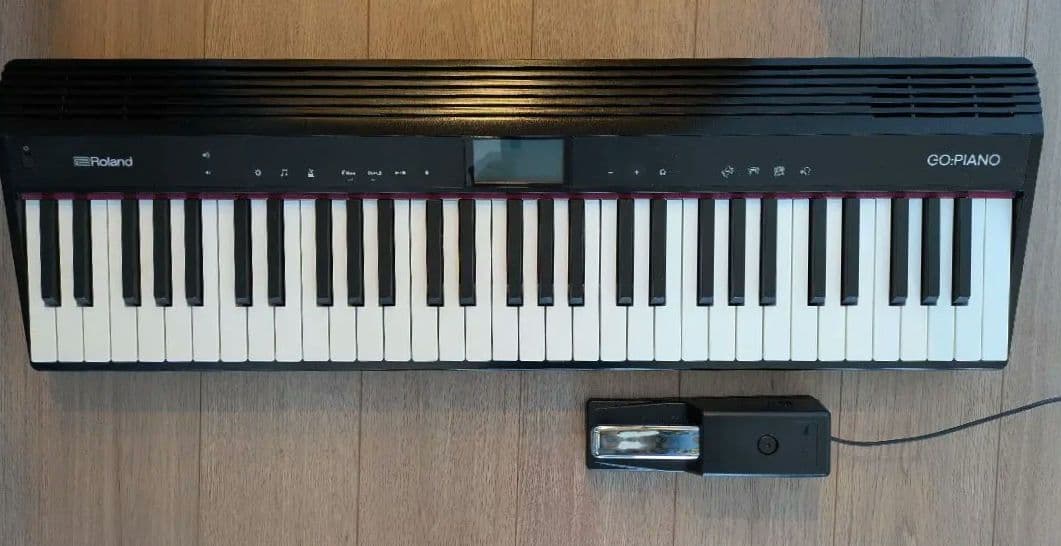 Roland GO-61P 24年製+ペダル(DP-10)