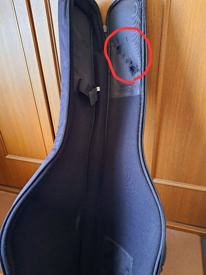 【貴重/生産終了】Washburn PXS10FRDLXWB-D