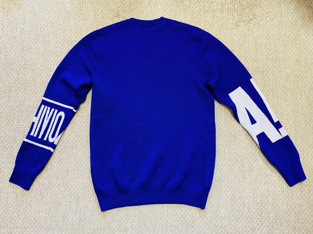 アルチビオ ウール100%セーター 長袖 46サイズ