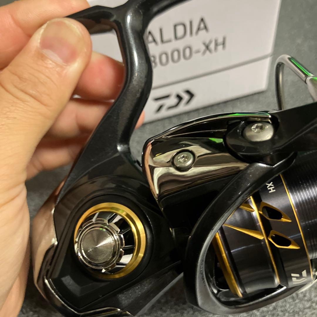 【フルベアリング化】 DAIWA 21CALDIA LT 3000-XH