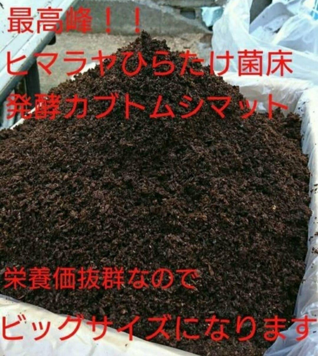 カブトムシ幼虫の餌、産卵に抜群！改良しました！発酵マット【たっぷり60リットル】