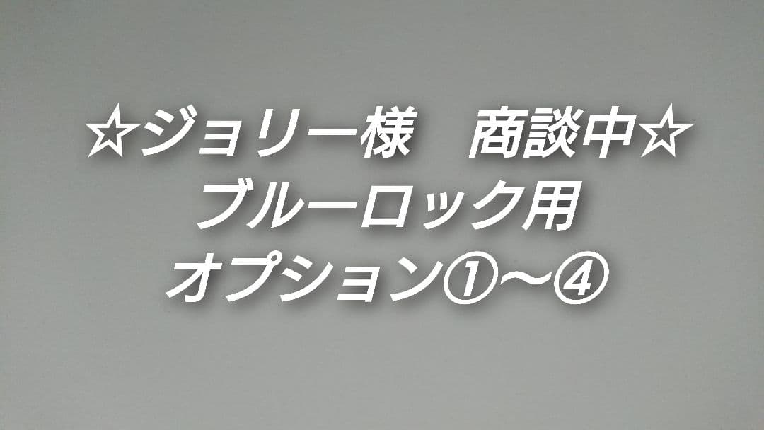 ⭕️ジョリー様/商談中⭕️オプション①〜④
