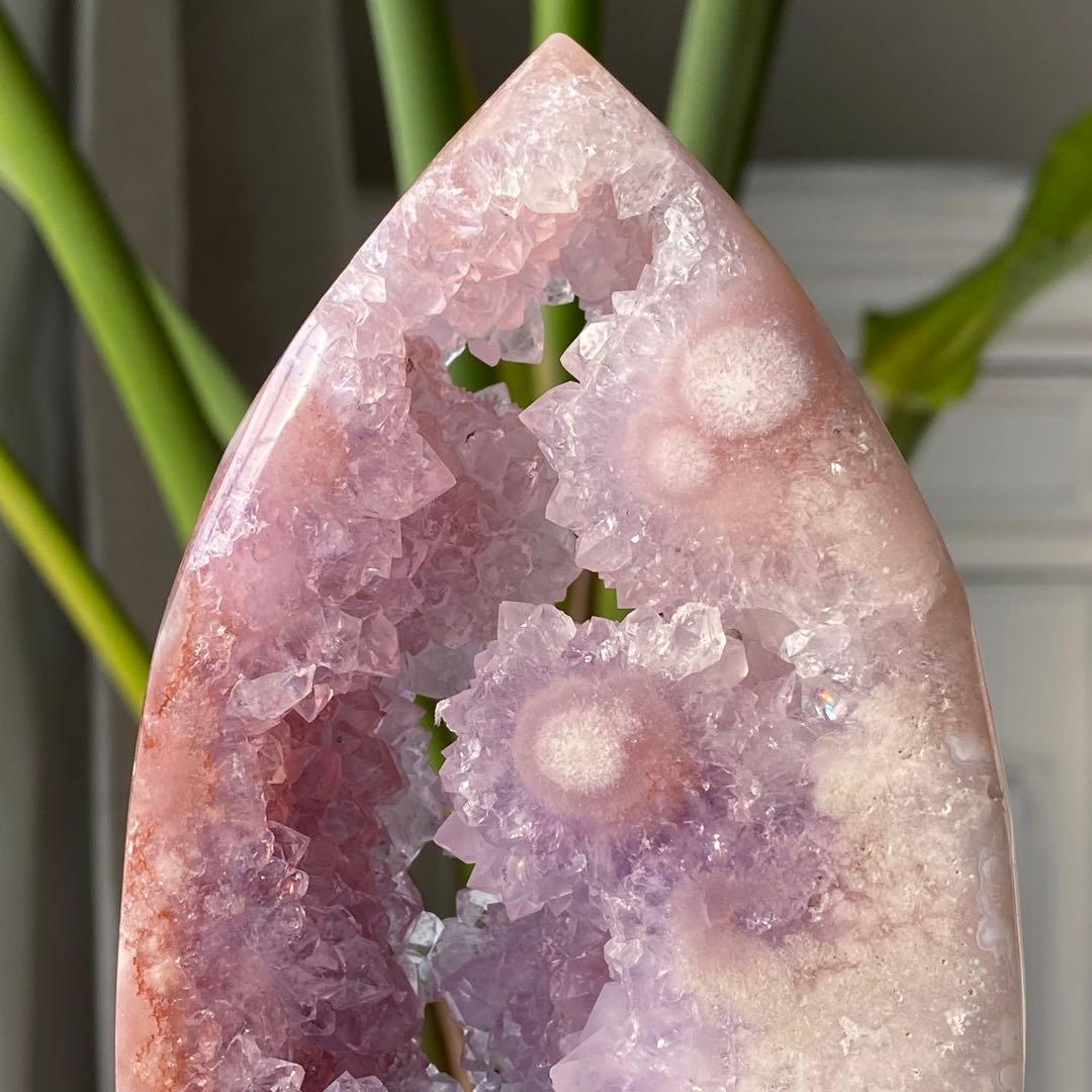 ヤシの実様　お受け取りまでのご確認用ページ