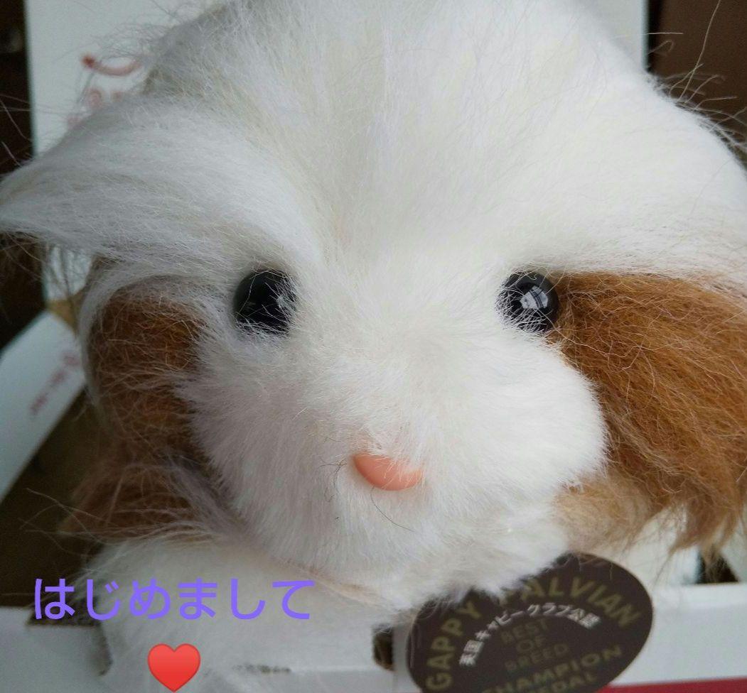 希少 かわいいぬいぐるみ 野村トーイ 昭和レトロ ヴィンテージ 日本製