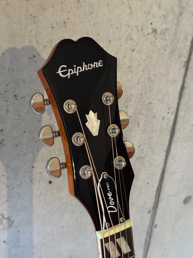 Epiphone Dove Pro エレアコ 即発送