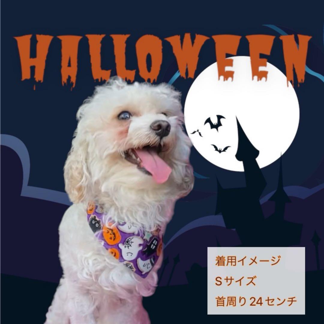 犬ネコ用リバーシブルバンダナ★着用イメージ写真★