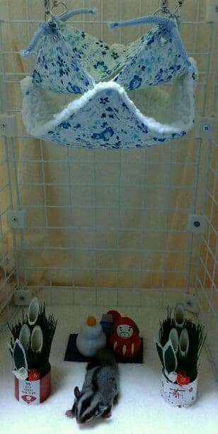 モモンガハウス(小花柄)ボア白       2000円