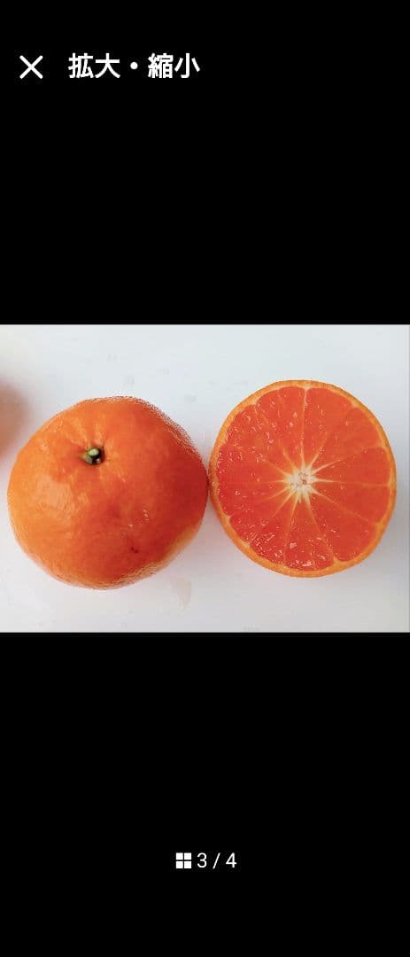 限定販売品！「津の輝」「せとか」３年生セット販売品！