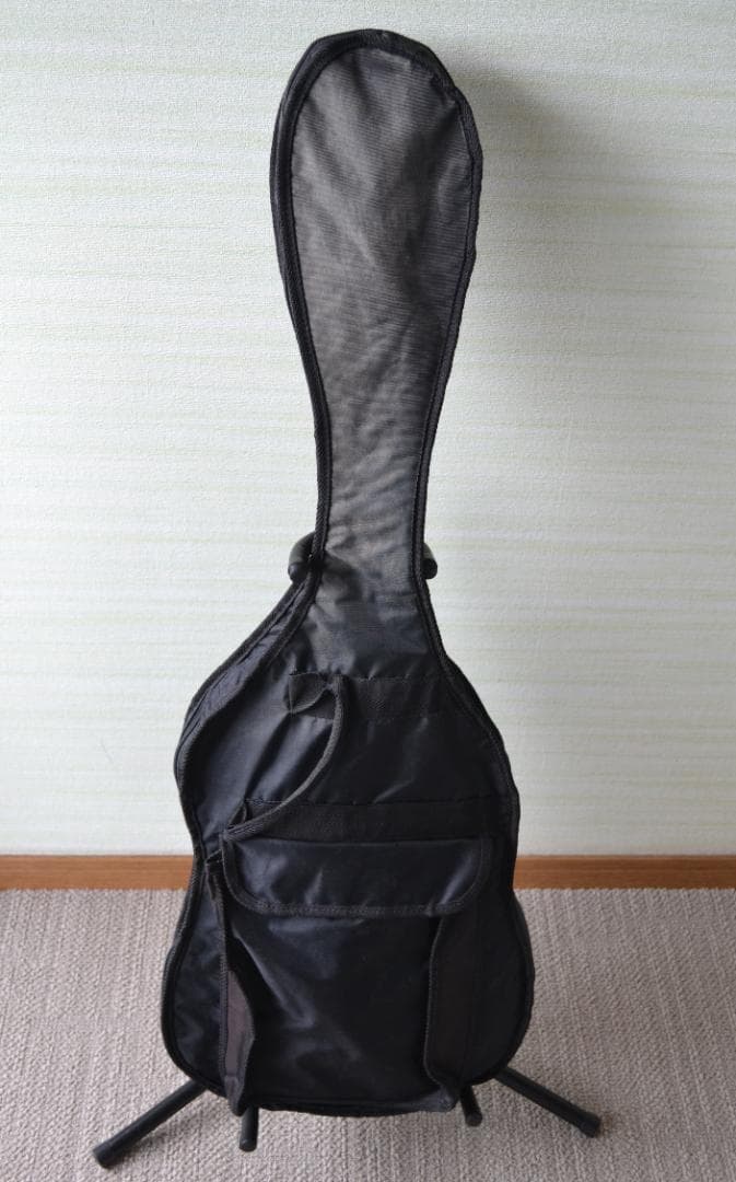 Maison メゾン メイソンエレキギターレスポールタイプ