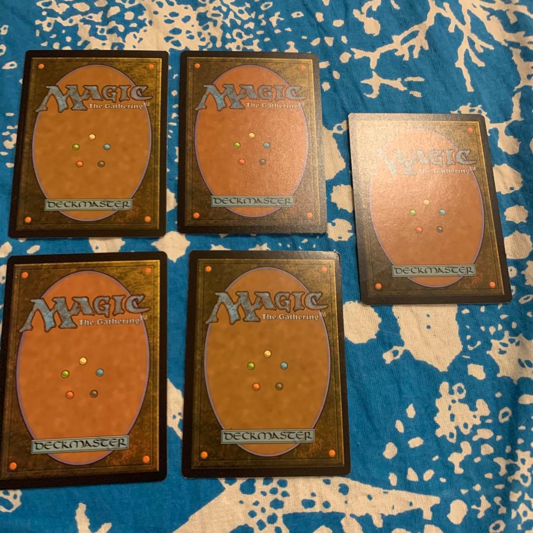 フェッチまとめ売り　湿地の干潟吹きさらしの荒野乾燥台地溢れかえる岸辺虹色の眺望