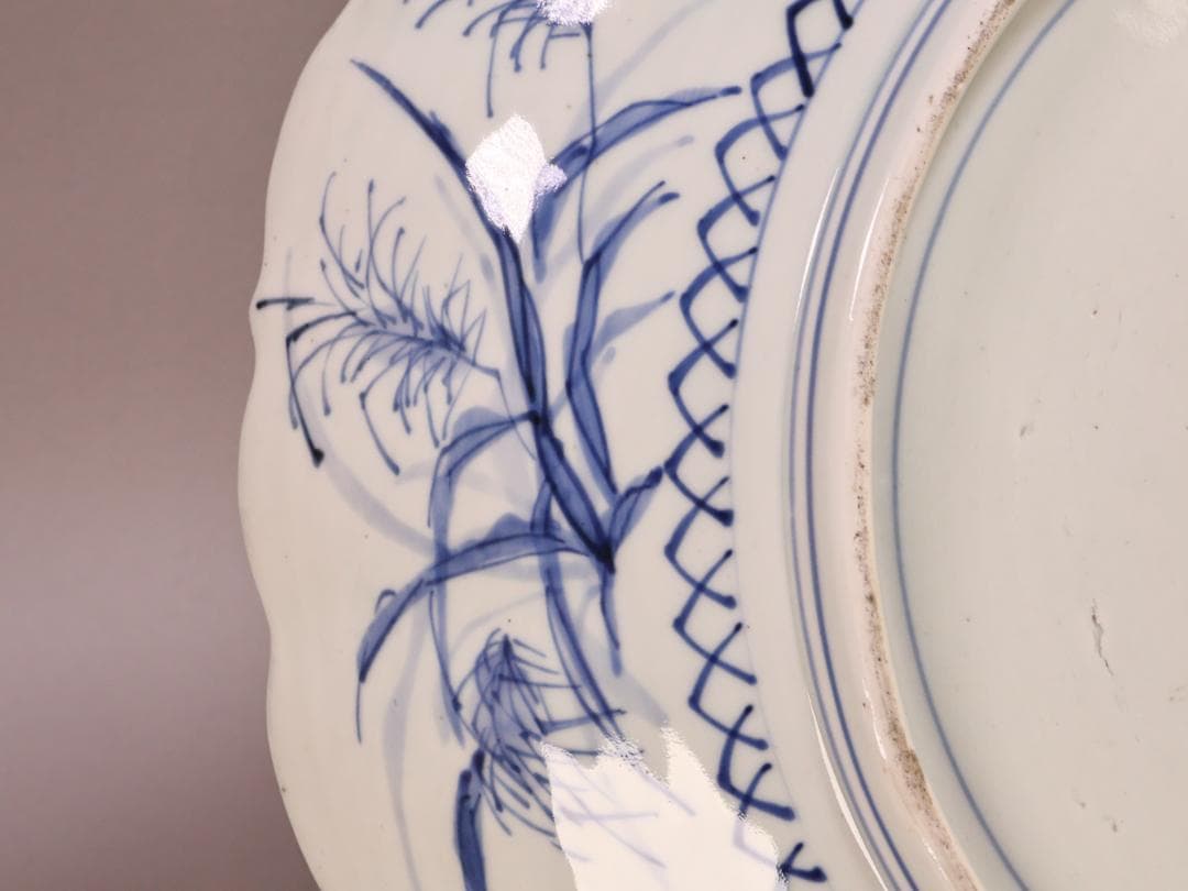 BK265　江戸期　古伊万里　古染付鹿文　大皿　49㎝　二重角福　1尺6寸