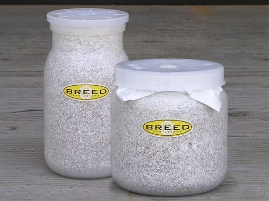 BREED　１１００１５００菌糸ビン各１０本　yuyama ji様