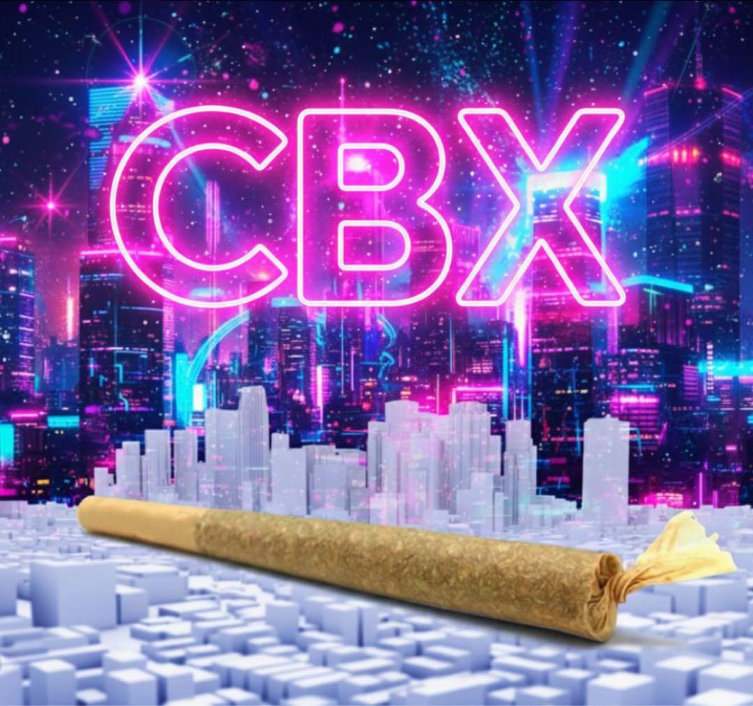 超高濃度 CBNプレロール 10本