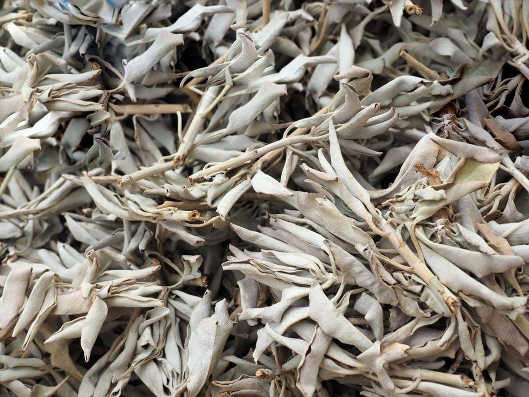 激安お買い得☆800g＜浄化☆邪気祓い☆カリフォルニア産ホワイトセージ枝付き＞