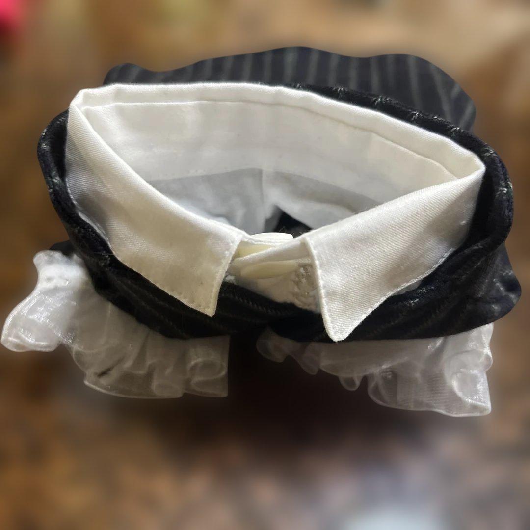 パピリーヒルズ 犬服 Tuxedo set up 黒と白のストライプ