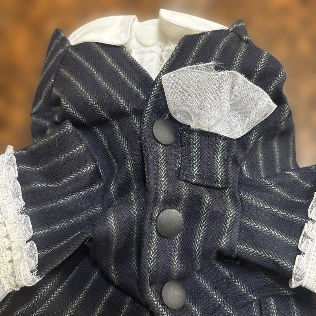 パピリーヒルズ 犬服 Tuxedo set up 黒と白のストライプ
