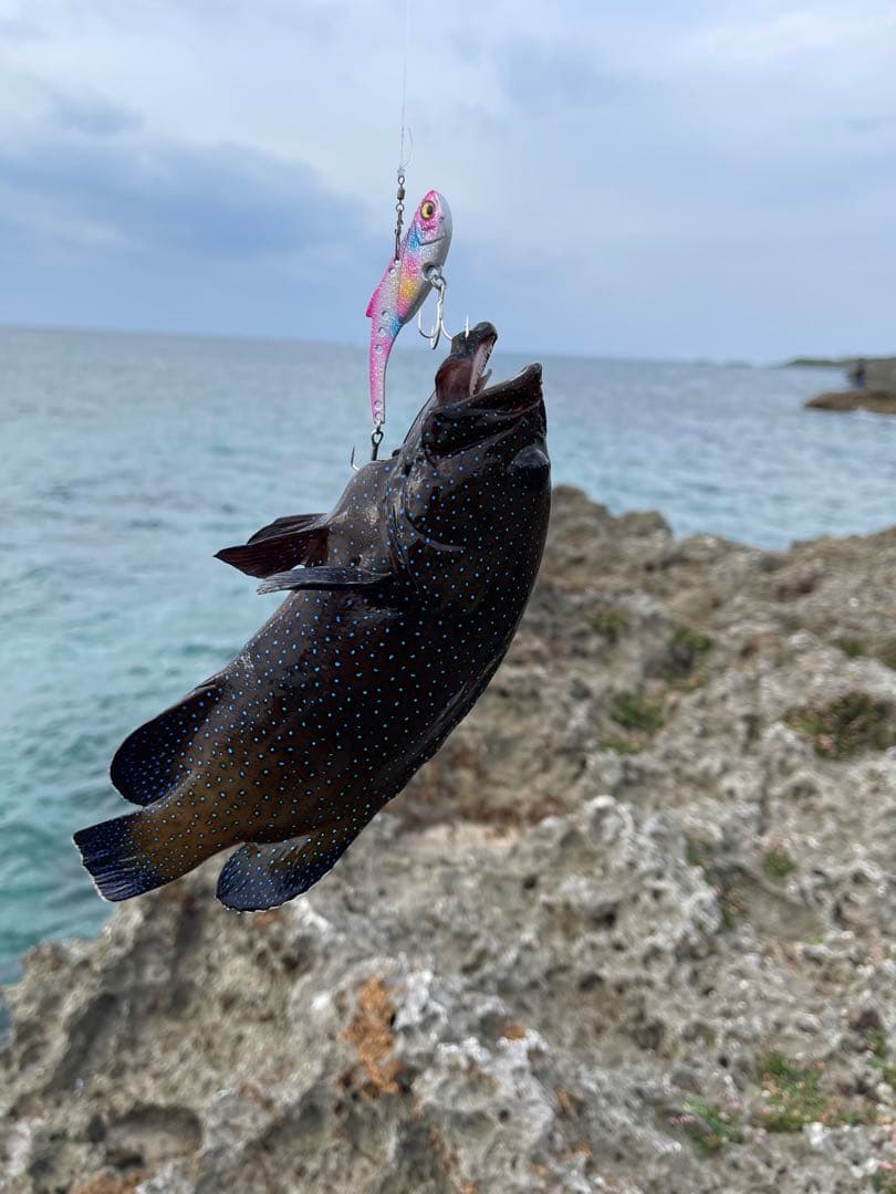 ダイワ　振り出しルアーロッド CROSSBEAT SW 967TMH