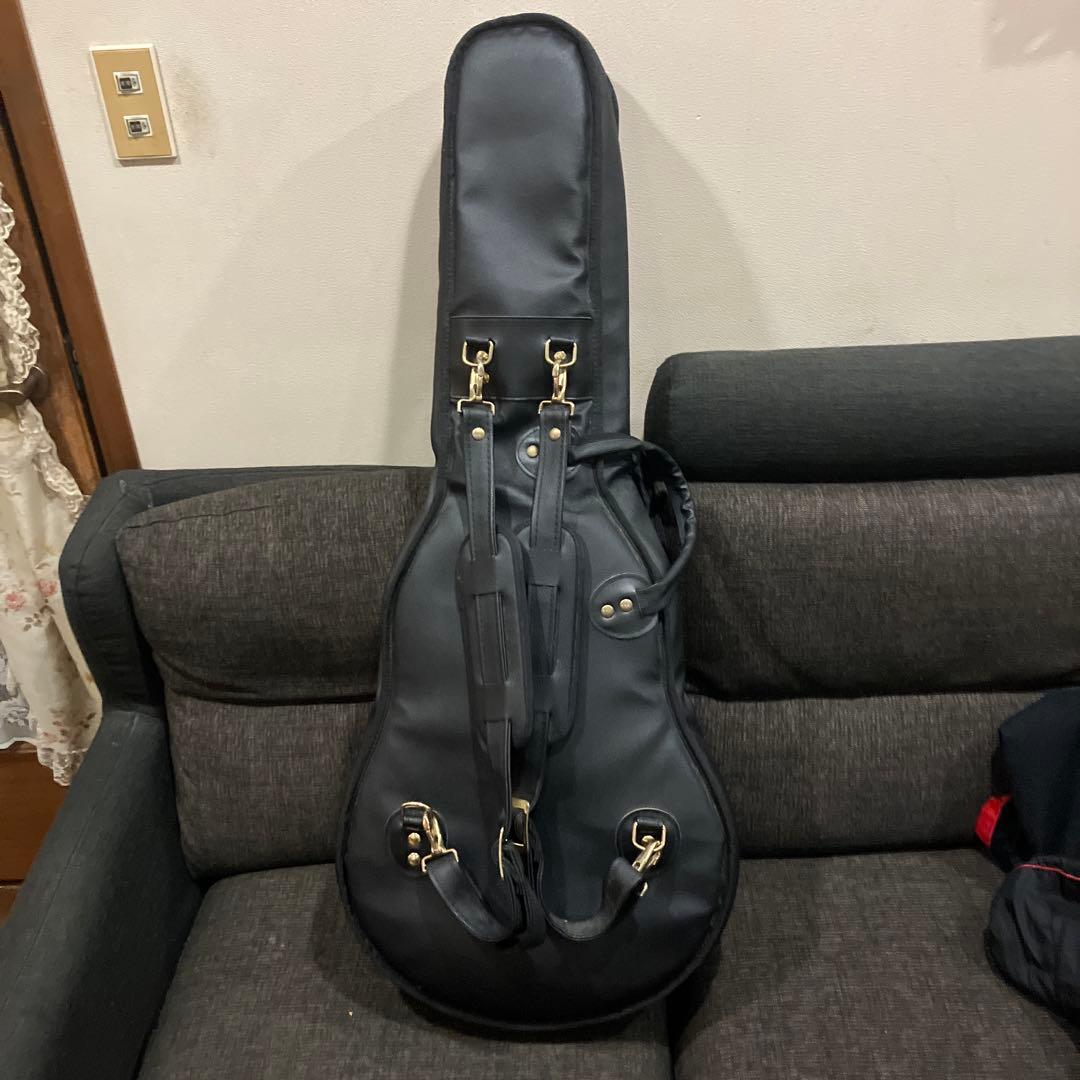 希少EARTHSHAKER MARCYシグネチャーモデル数量限定エレアコ