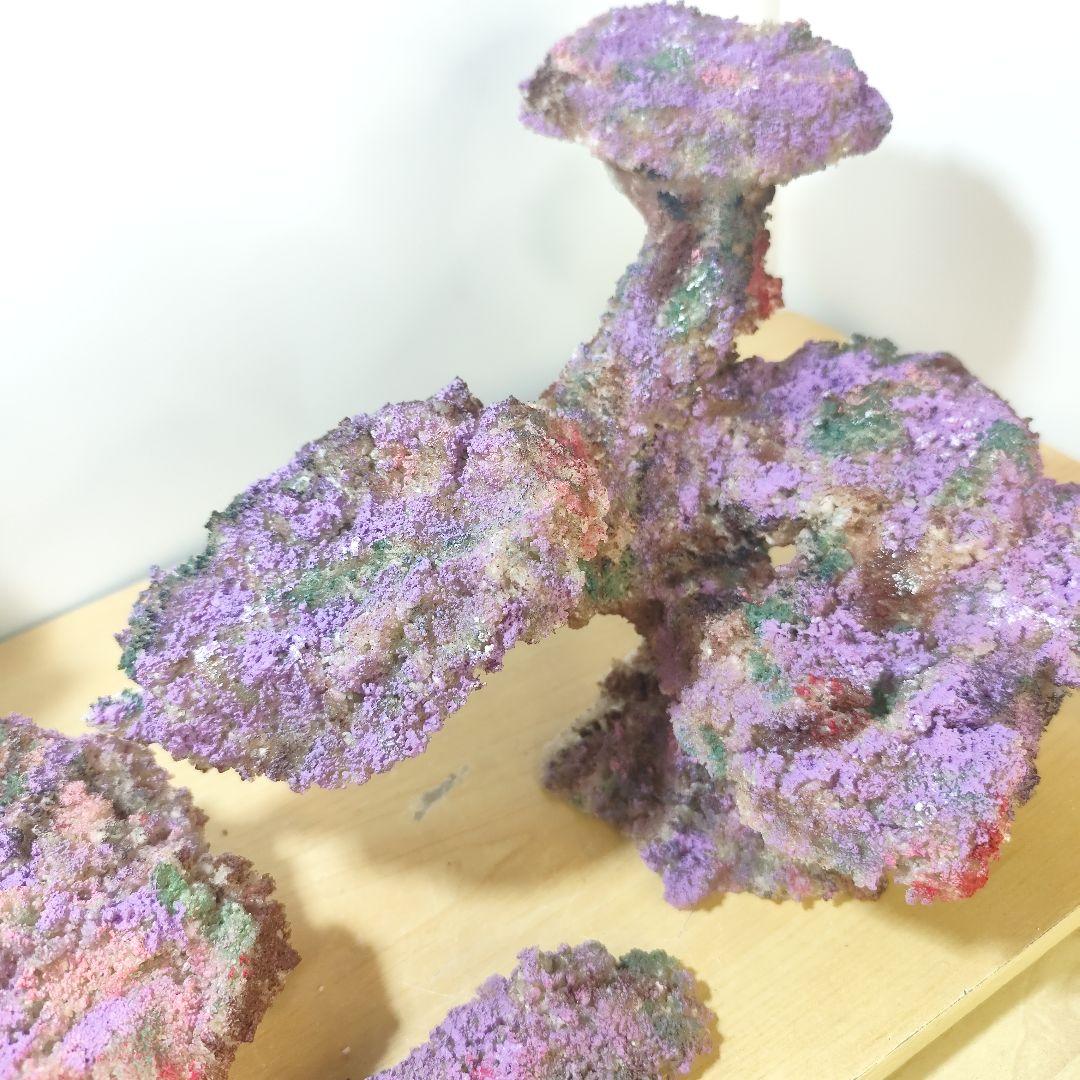 新品アク抜き不要 分離型人工ライブロック 60cm海水水槽用 レプリカ 多孔質4