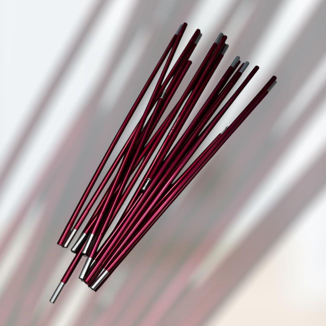 8718.ヘリテイジ 山岳テント マキシムX 2-3人用 グリーン