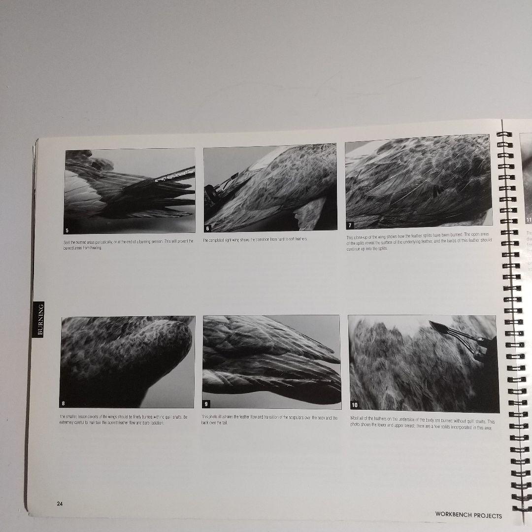 バードカービング教本２冊 パトリック ゴディンのカモとロニーダイのハヤブサ