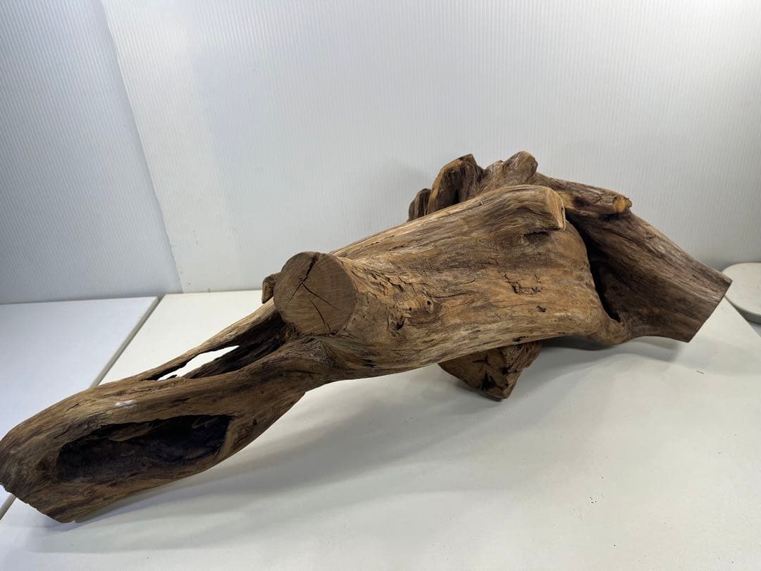 V70特大流木 アク抜き済み流木 爬虫類シェルター 登り木 インテリア 生け花