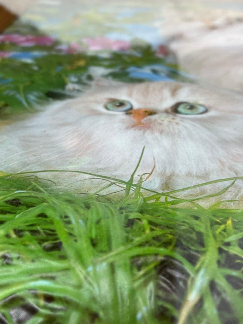 額入り61.0cm 立体壁掛け 仔猫達 （立体画）1154