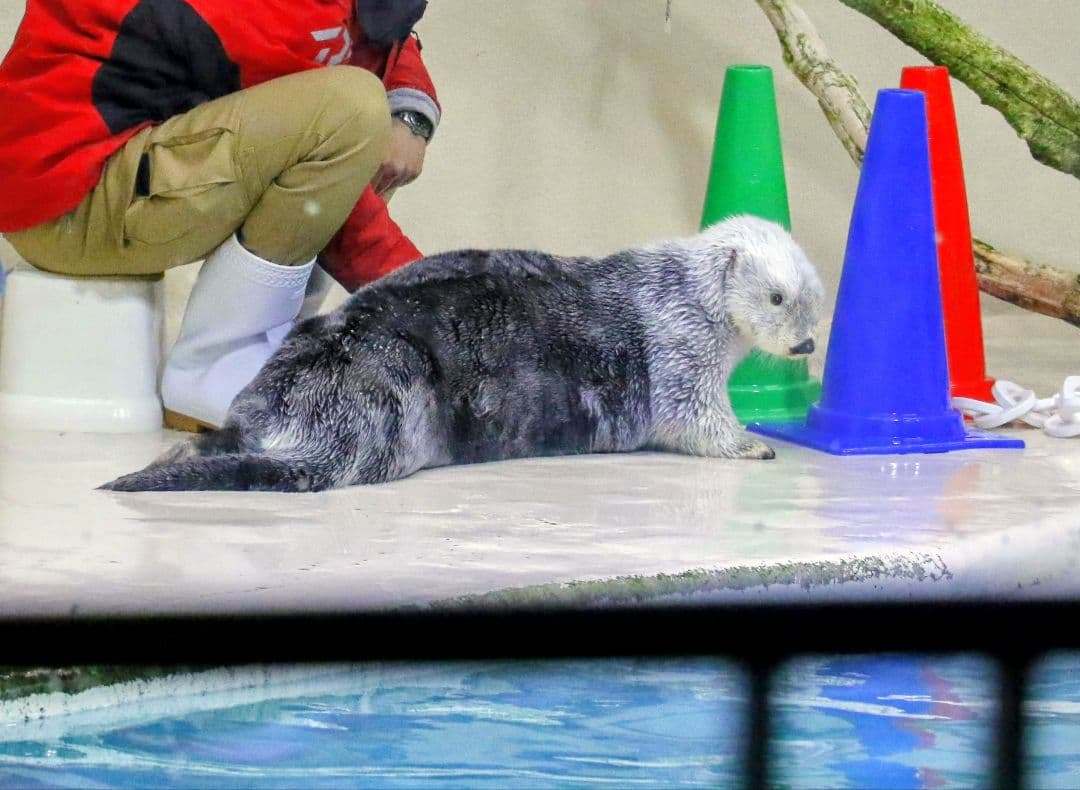 t*o様 【週末限定】CanonEOS 7D Mark II+EF-S 18-1