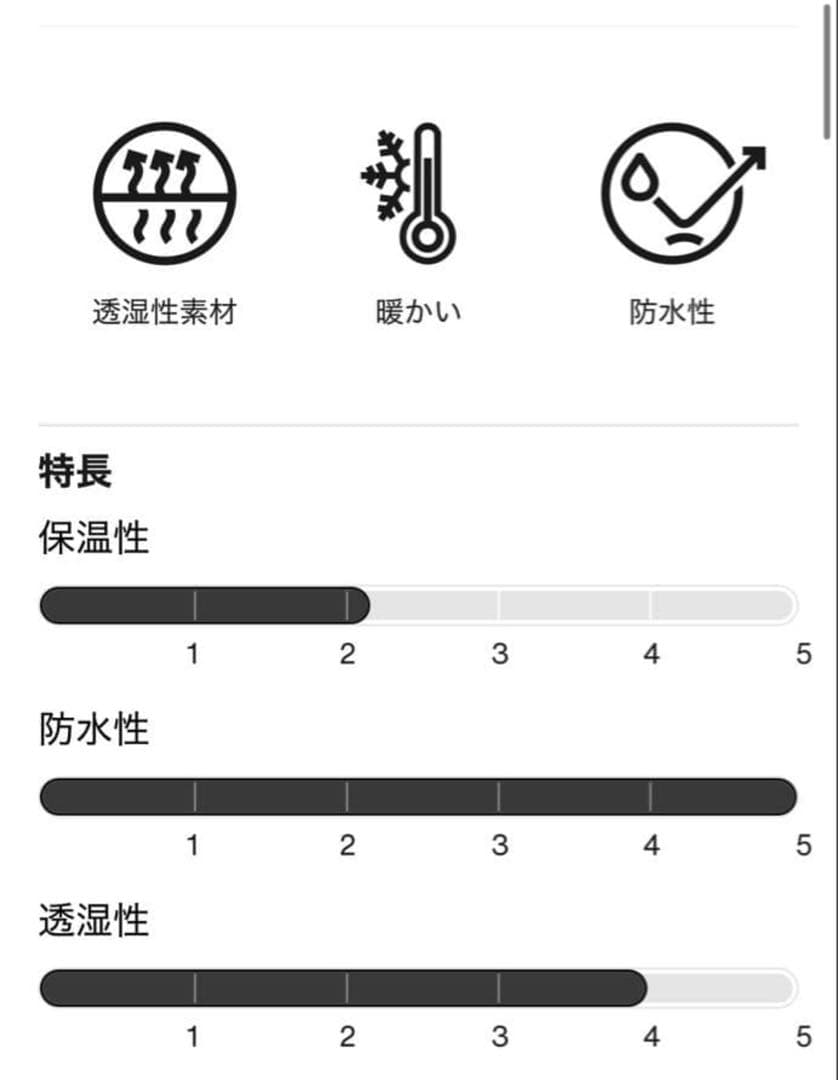 BURTON バートン GORE-TEX ピローライン スノーボードウェア