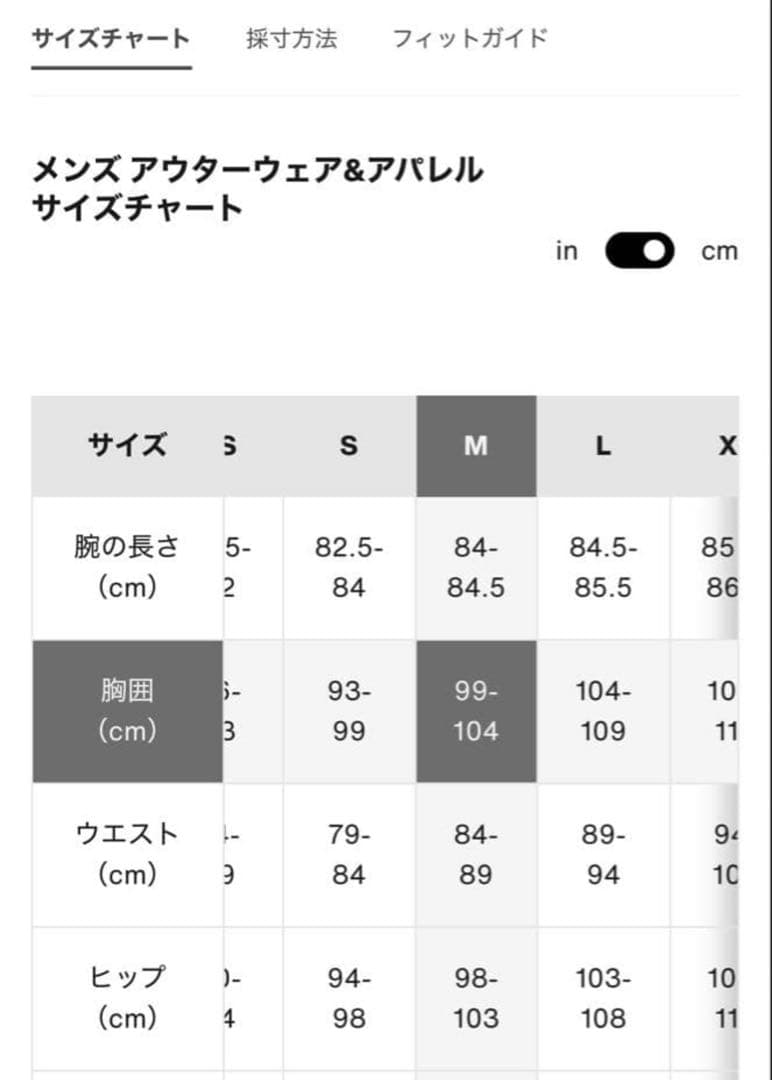 BURTON バートン GORE-TEX ピローライン スノーボードウェア