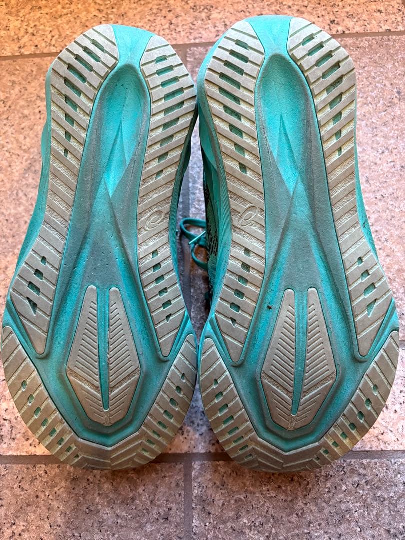 ASICS NOVABLAST 5（ノヴァブラスト5）27.5cm 限定カラー