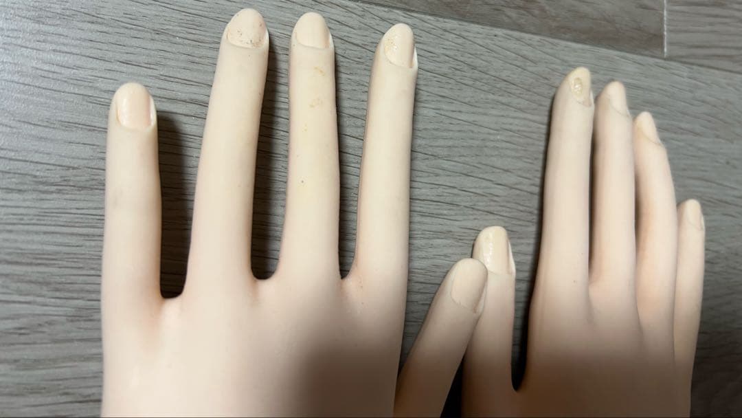 JNEC 認定モデルハンド(骨折なし)