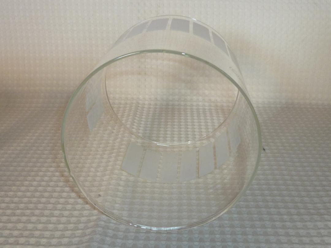 Coleman メッシュグローブガード+ハーフフロストグローブ Lサイズ 未使用