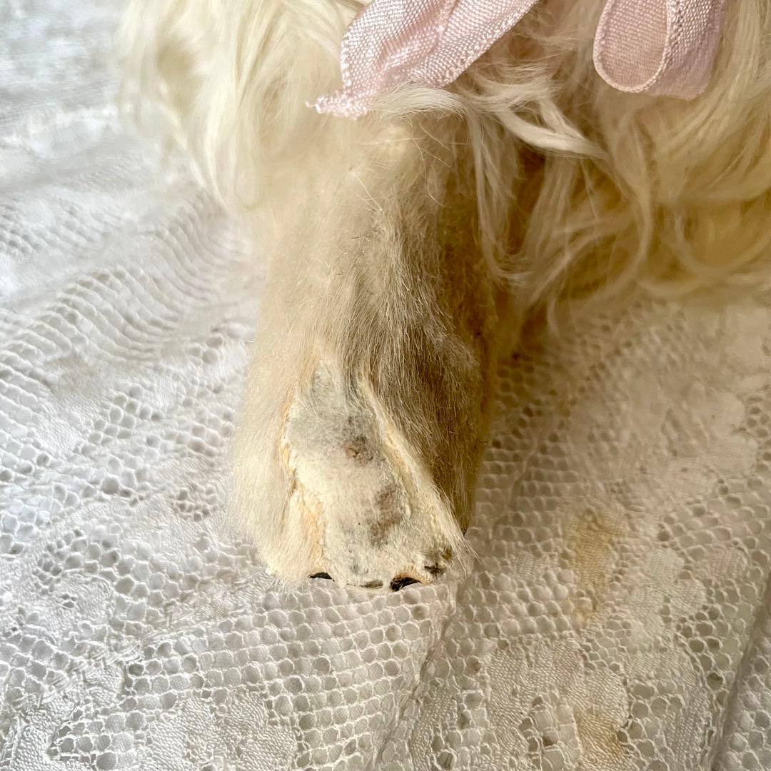 【美品】パジャマドッグ　LOU LOU フランスアンティーク　ドール　ジュモウ犬