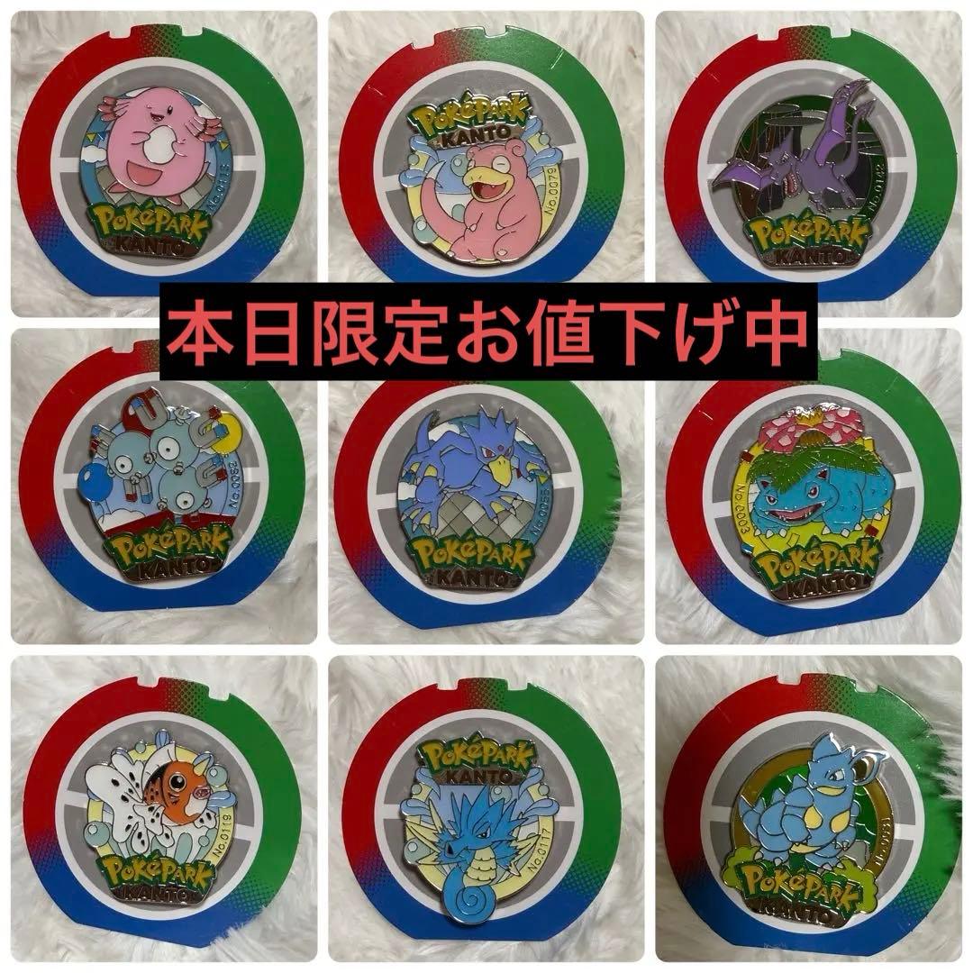 ポケパーク KANTO ピンズ 9点まとめ売り