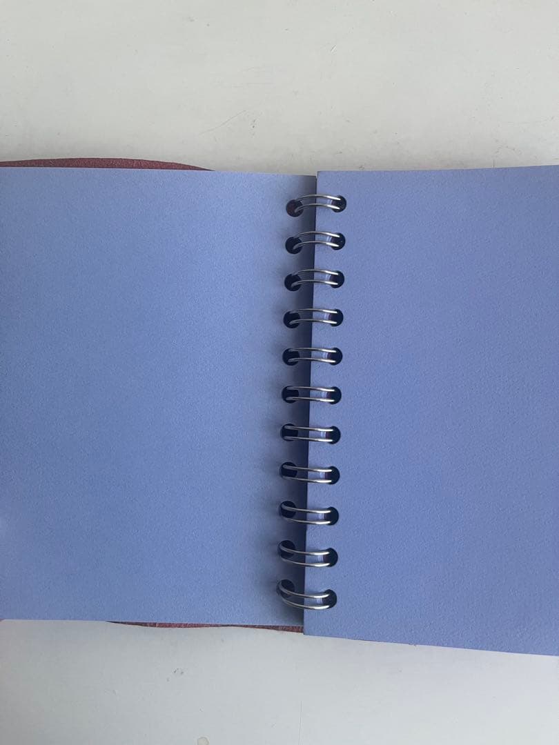 エルメス　ULYSSE（ユリス）PM ノート付き