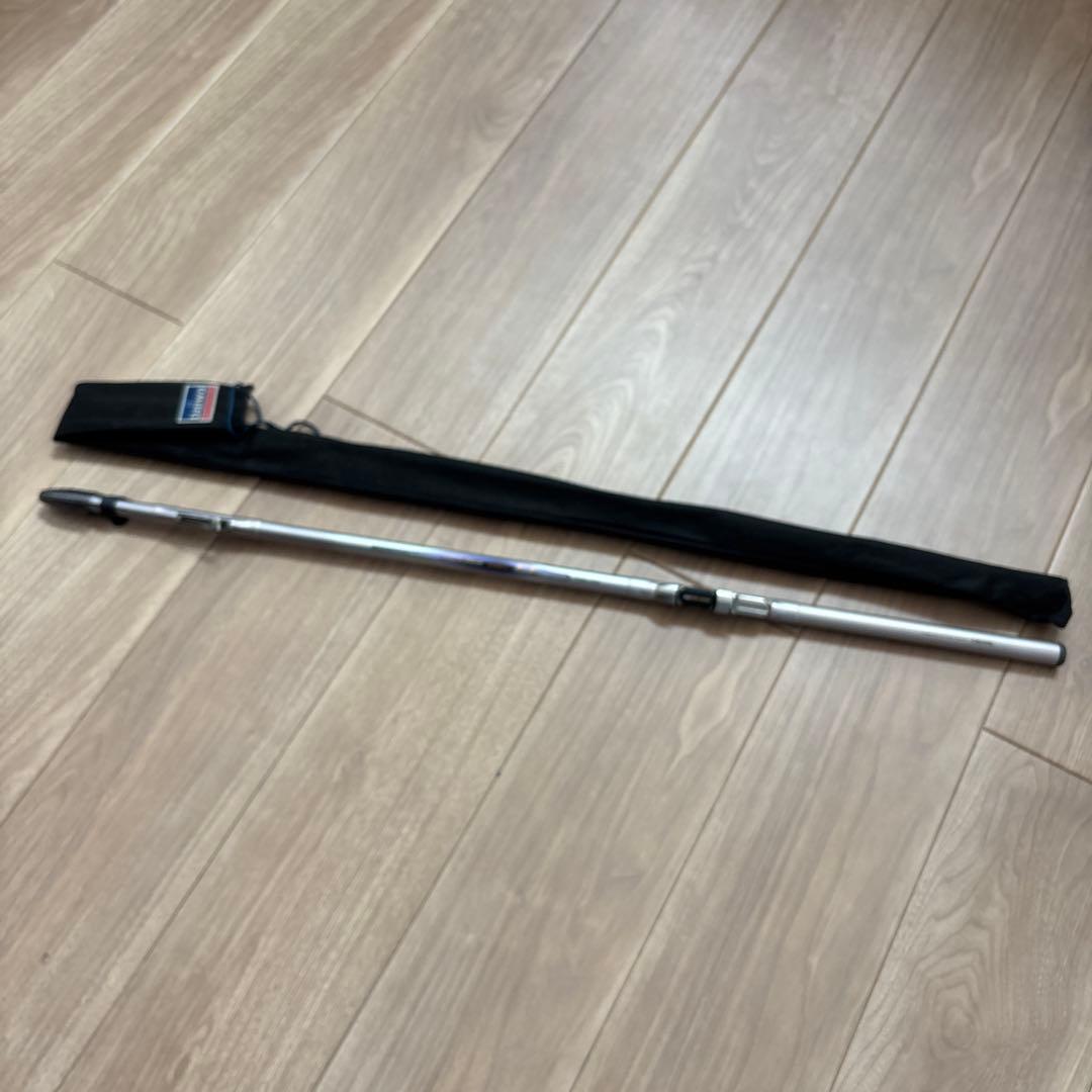 釣竿　INTER LINE 飛竜　06-45 Daiwa 釣り　フィッシング