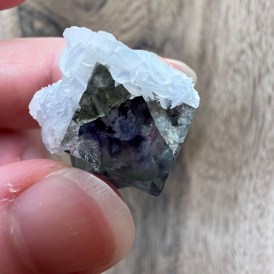 フローライト パイライト F2 カルサイト 共生 鉱物 標本 原石