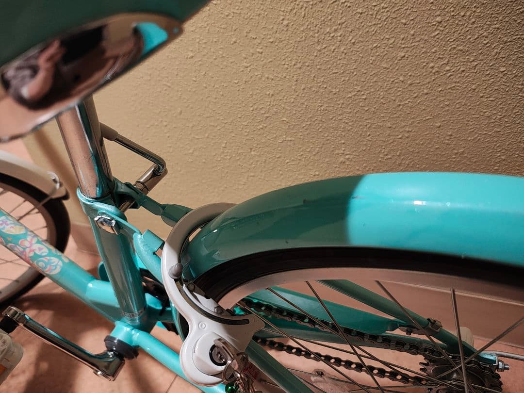 子ども　自転車 ブリヂストン エコパル20 20インチ　女の子　子供