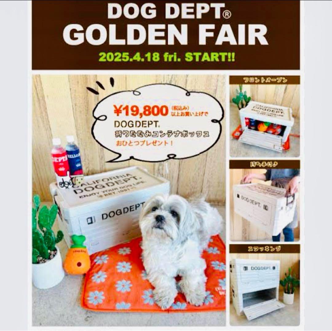 DOG DEPT コンテナ