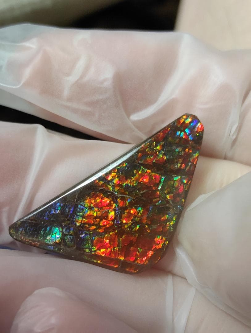 アンモライト　ルース　24-1414 23500