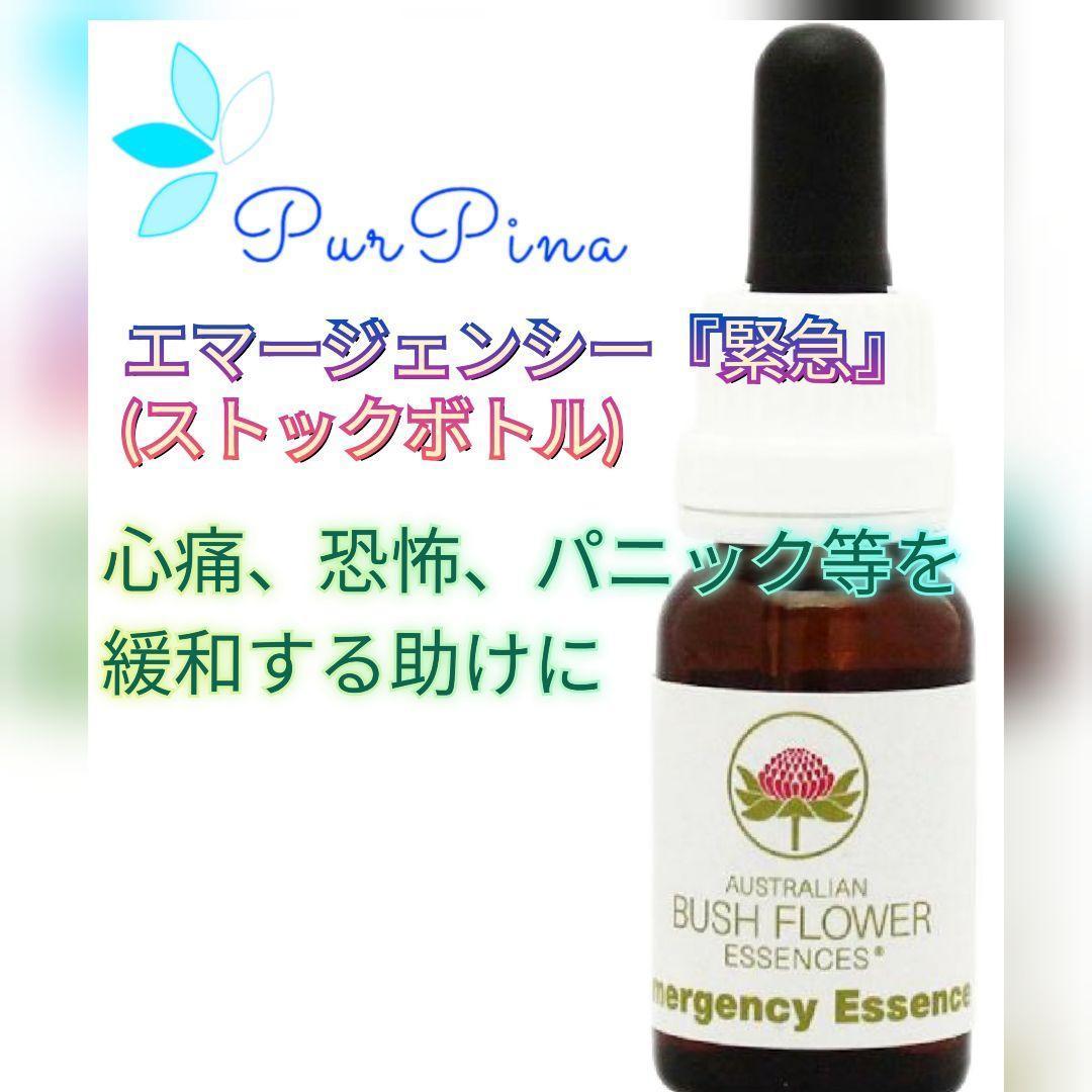 【専用】ハートスピリットエッセンス　パシフィックエッセンス　フラワーエッセンス他