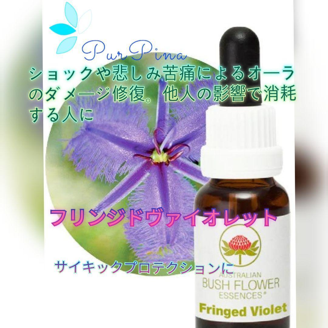 【専用】ハートスピリットエッセンス　パシフィックエッセンス　フラワーエッセンス他