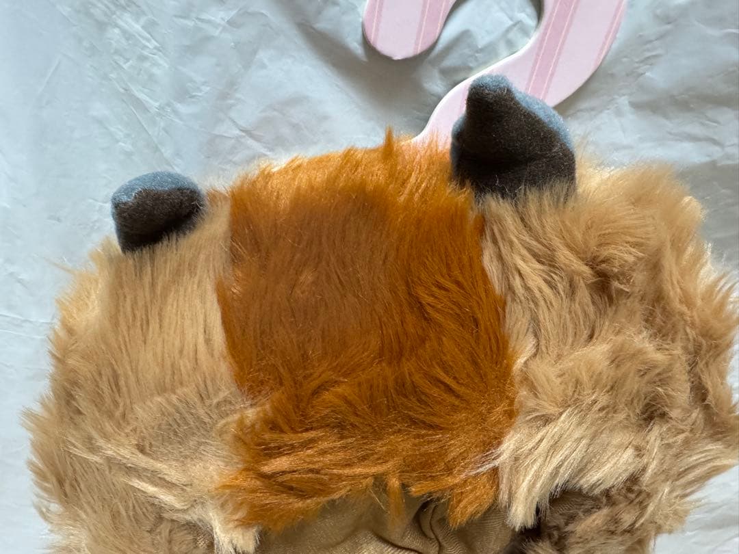 ディズニーストア ユニベアシティ 美女と野獣 コスチュームセット