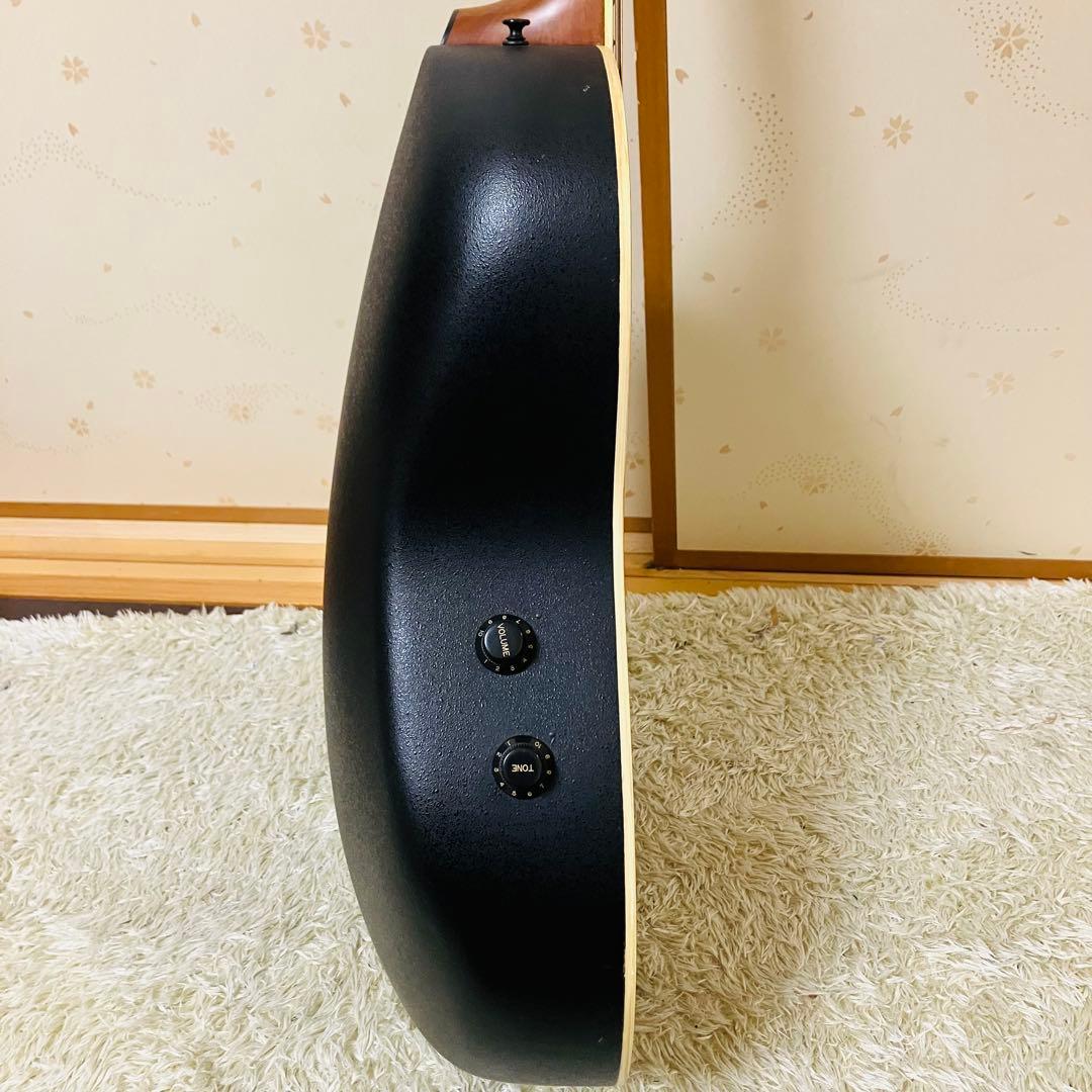 1月限定出品 【GOTOHペグ交換】エレアコAPPLAUSE AE 36